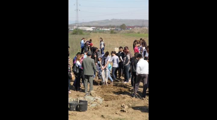 Clubul ROTARY Ploiești va organiza în data de 30 martie 2019 o acțiune de plantare puieți pe Centura de Est a Ploieștiului