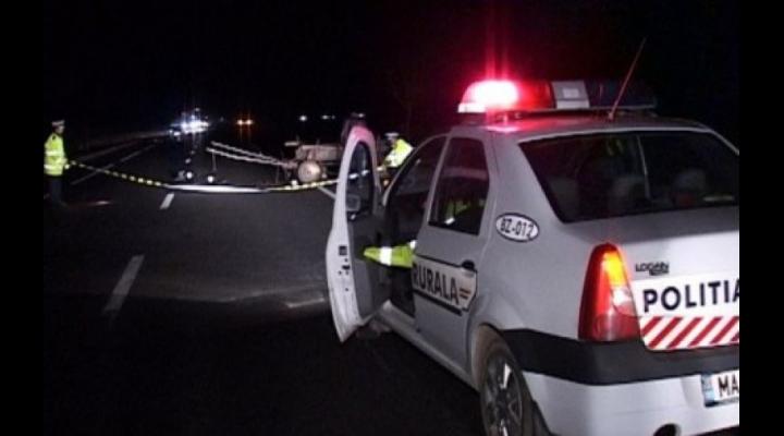 Cal mort dupa ce a fost lovit de masina, noaptea trecuta pe DN1A