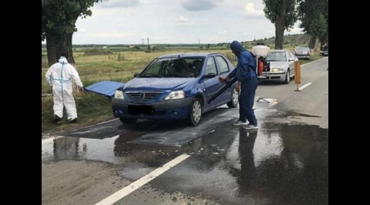 Masuri luate in Prahova pentru a preveni răspândirea pestei porcine