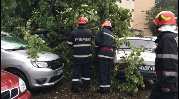 Efectele codului galben  de precipitații în Prahova: copaci căzuți, carosabil inundat și mașină blocată în apă