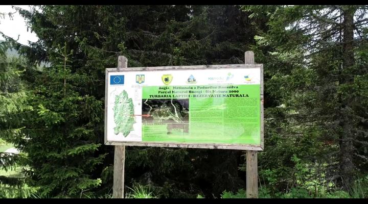 VIDEO / Rezervația naturală Turbăria Lăptici, un punct turistic din Bucegi mai puțin cunoscut