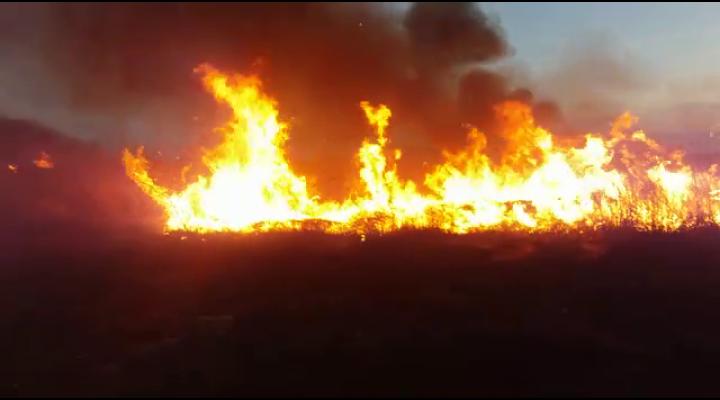 ISU Prahova: STOP arderilor necontrolate pentru igienizarea terenurilor