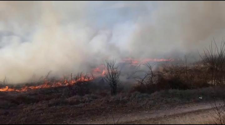 Zi de "foc" pentru pompierii prahoveni. Incendii de vegetație uscată în mai multe localități