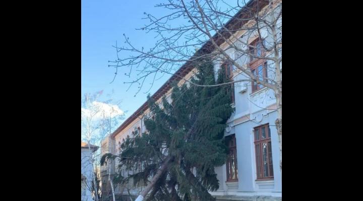 Un copac a cazut pe cladirea Colegiului National Mihai Viteazul din Ploiesti. O clasa a fost evacuata