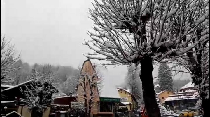 VIDEO Ninge la munte, în Prahova. 