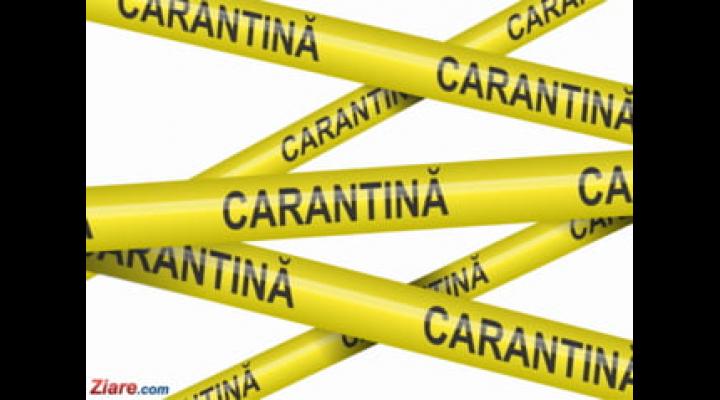 Zeci de oameni, veniți din Londra, așteaptă să fie carantinați de câteva ore în Parcul Municipal Vest