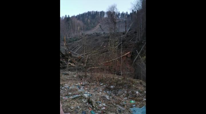La Azuga se acționează pentru degajarea albiei râului și eliberarea cursului apei