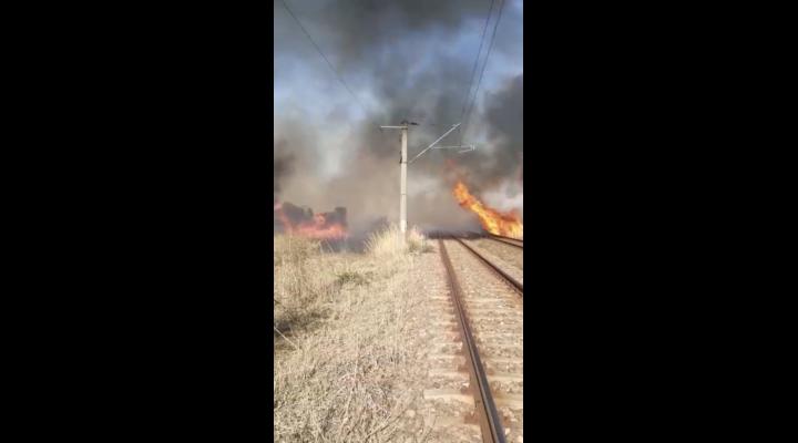 VIDEO Incendiu de vegetatie uscata langa calea ferata din Albesti Paleologu