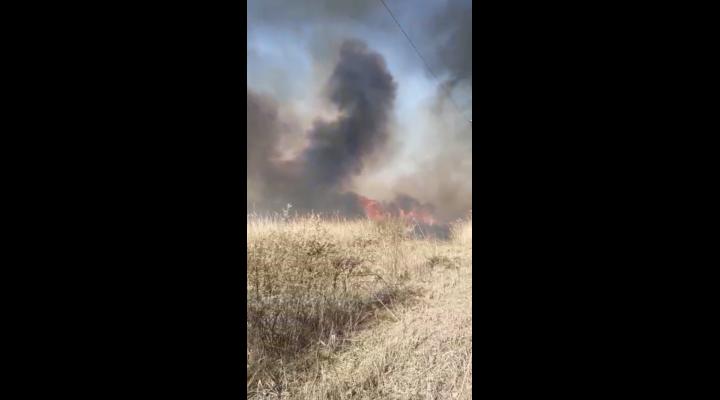 Weekend plin pentru pompierii prahoveni. Aproape 20 de incendii de vegetatie uscata au avut loc in Prahova. ISU face apel la cetateni sa evite astfel de situatii!