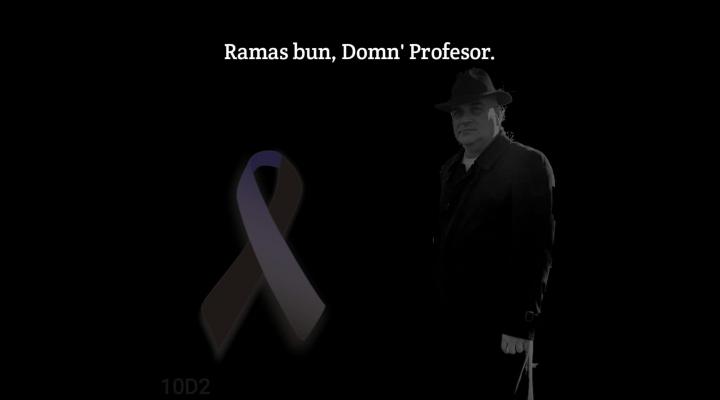 Un iubit profesor al Colegiului Tehnic Lazar Edeleanu din Ploiesti si-a pierdut viata intr-un mod fulgerator