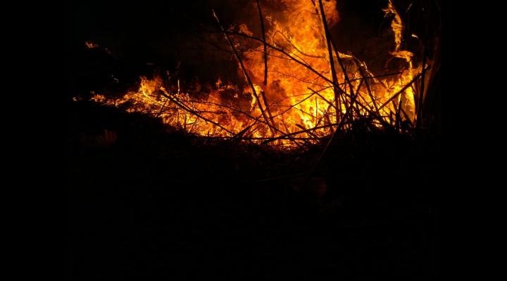 O locuință din Cornu a fost mistuită de flăcări din cauza igienizării terenului prin ardere. Nu a fost singurul incendiu de vegetatie uscata