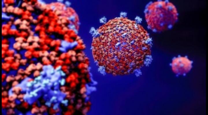 70 de cazuri de coronavirus raportare pana astazi in Prahova! Vezi si informarea de presă privind situația COVID-19 în Prahova, 01 mai 2020, a Prefecturii Prahova