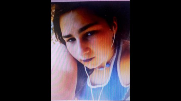 UPDATE Tânăra a fost găsită/O fată de 13 ani din Drajna a dispărut de acasă. Apelul Poliției Prahova