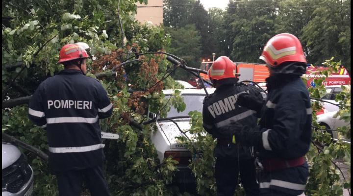 Vremea rea în Ploiești: copac căzut pe o mașină și un service inundat