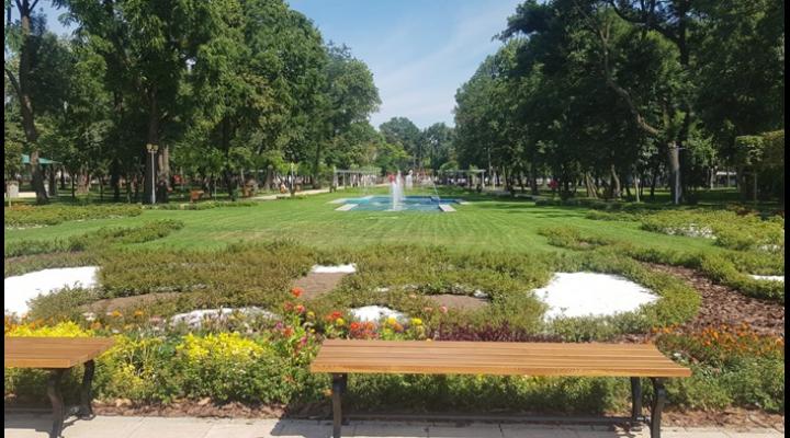 De joi se taie iarba și se vor tunde arbuștii de pe domeniul public din Ploiești 