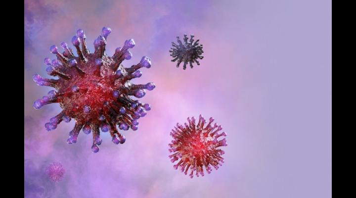 73 de prahoveni diagnosticați cu noul coronavirus pâna astăzi, dintre care 4 au decedat, 46 au fost declarați vindecați și externați, iar 23 se află internați