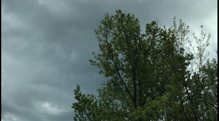 Alertă ANM: Cod galben de vreme severă imediată în județele Argeș, Dâmbovița și Prahova