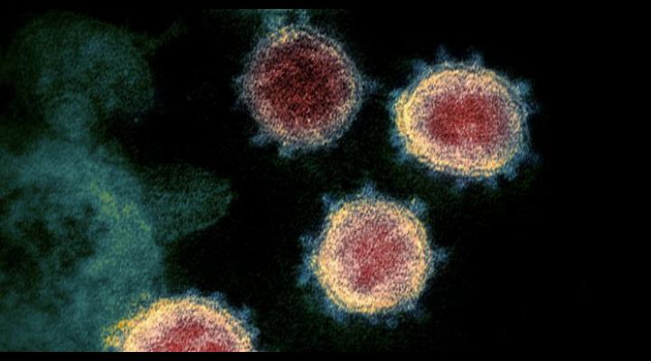 Cel de-al 5-lea deces din Prahova anuntat ca fiind cauzat de coronavirus a avut alta cauza de fapt. Precizarea DSP 