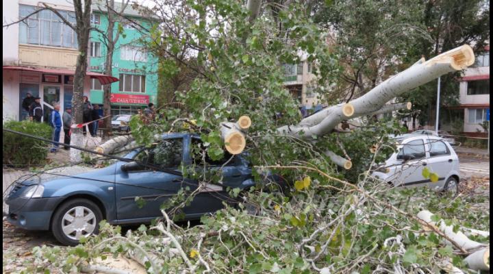 UPDATE Două persoane, asistate medical după ce un copac a căzut peste mașină, în Câmpina