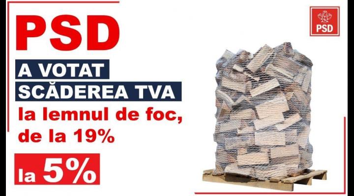 Bogdan Toader: “Proiect PSD, adoptat de Parlament! Lemnul de foc va fi mai ieftin, de la 1 Decembrie!”