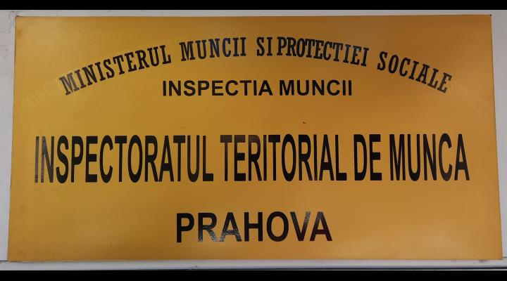 Acțiune ITM Prahova prin care s-a verificat dacă se respectă prevederile în ceea ce privește modul de utilizare a echipamentelor de muncă și a tehnologiilor de exploatare în parchetele forestiere