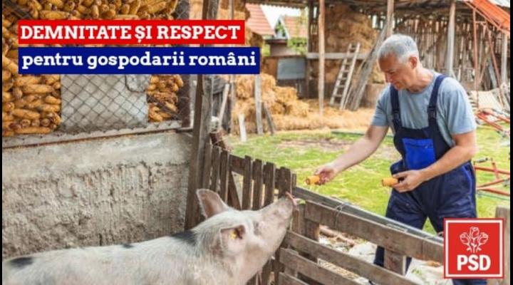 Bogdan Toader: “Deputații PSD nu vor accepta niciodată ca țăranului român să-i fie îngrădit dreptul de a crește porci în propria-i gospodărie!”