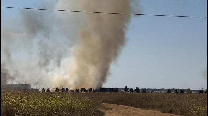 UPDATE Incendii de vegetație uscată în Gornet și Boldeşti Scăeni