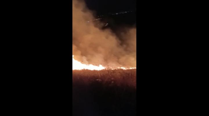 VIDEO- Incendii de vegetatie uscata in Urlati