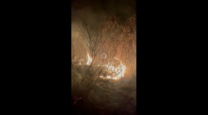 VIDEO: Incendiu in Orzoaia de Jos, Urlati