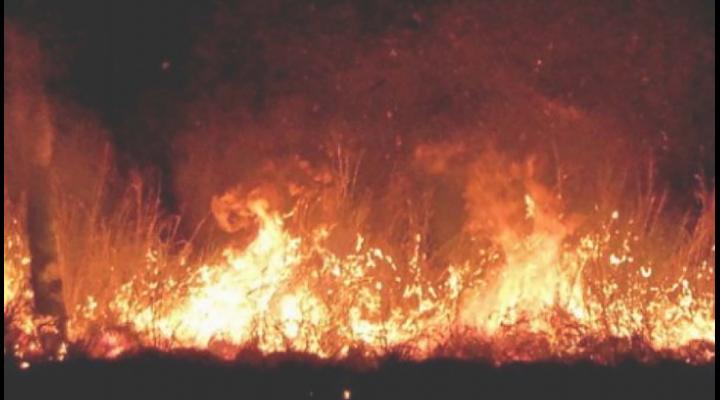 VIDEO/ UPDATE Circulația feroviară este blocată la Albești Paleologu în urma unui incendiu de vegetație uscată/Traficul feroviar a fost reluat