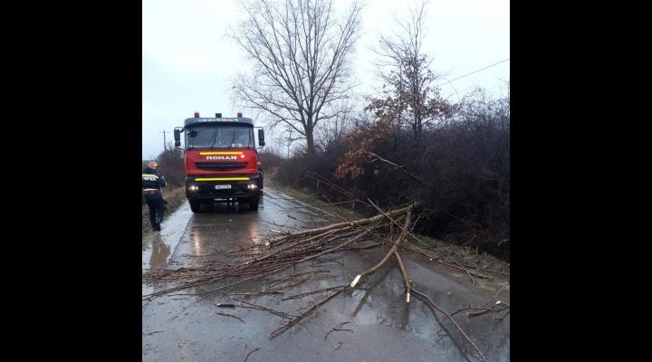 UPDATE Cod galben de vânt în zona joasă a județului/Intervenții ISU Prahova