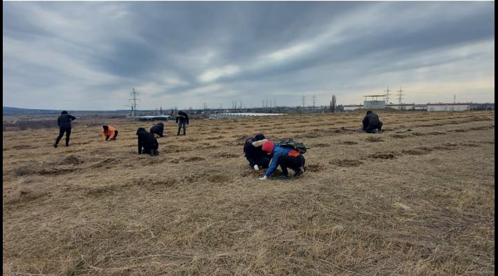 Primăria Municipiului Ploiești continuă să ecologizeze zona fostei gropi de gunoi a orașului