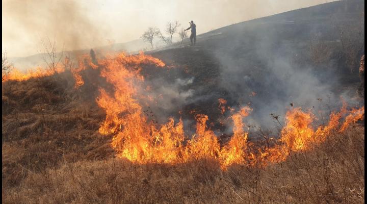 Incendii de vegetație uscată în mai multe zone din Prahova