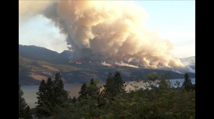 VIDEO Prahova, pe primul loc la numărul de incendii de vegetație uscată/Pompierii, în alertă