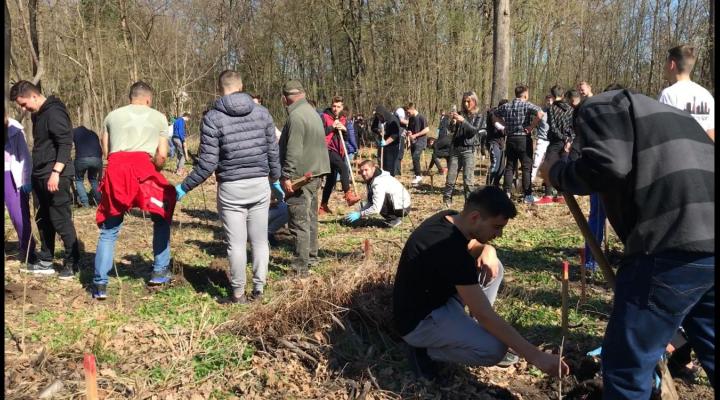 VIDEO/FOTO – Acțiune de plantare, astăzi, în Pădurea Gherghița, aflată în administrarea Direcției Silvice Prahova