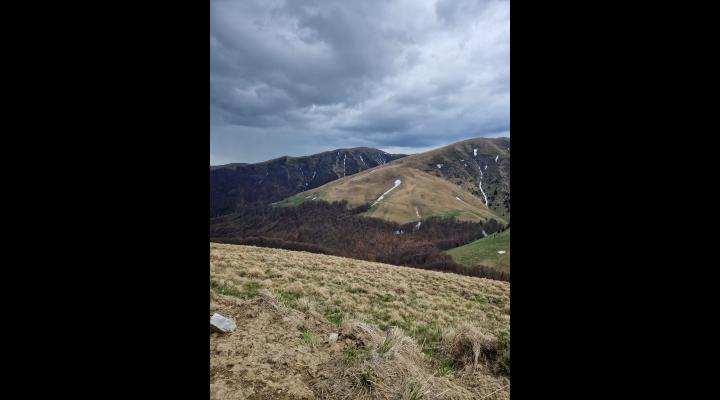 Transbaiul, un nou drum în zona montană a Prahovei prinde contur