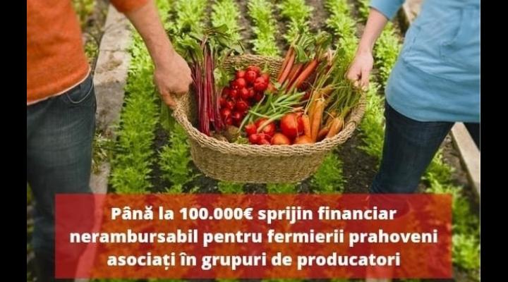 Deputatul PSD, Bogdan Toader, transmite un mesaj important pentru fermierii din Prahova: sprijin financiar nerambursabil pentru grupurile de producători!
