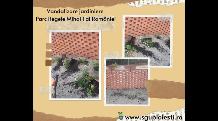 Mai multe jardiniere au fost vandalizate în Parcul Regele Mihai I al României 