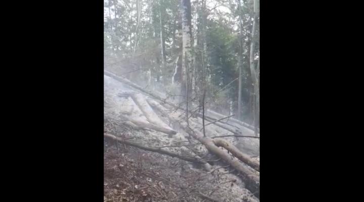 Angajații Direcţiei Silvice Prahova iau măsuri pentru prevenirea incendiilor în fondul forestier