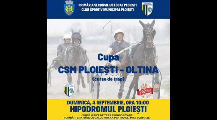 Hipodromul Ploieşti: „Cupa CSM Ploieşti – Oltina”, principala cursă a reuniunii de duminică!