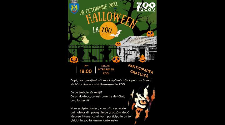 Halloween la ZOO/Tur ghidat la lumina lanternelor și atelier de sculptat dovleci