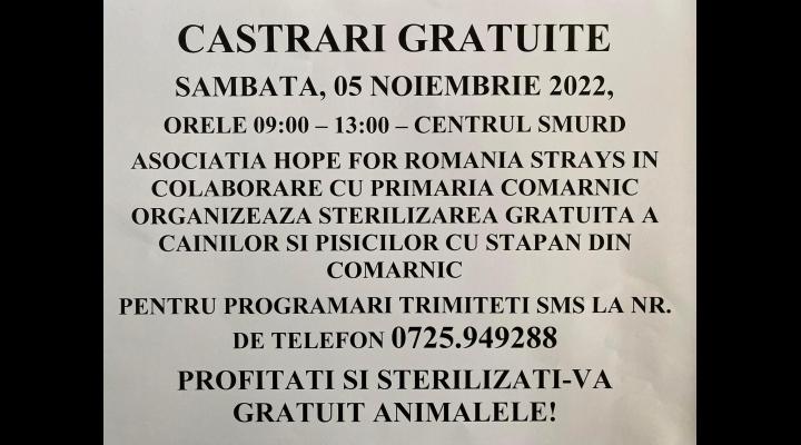 O noua campanie de sterilizare gratuită a animalelor cu stăpân, în Comarnic 