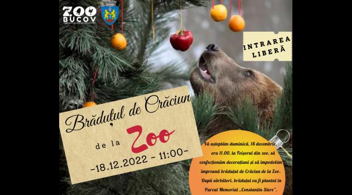 Copilașii, așteptați duminică la “Brăduțul de Crăciun de la Zoo”  