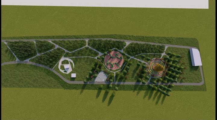 PĂDURE MINIATURALĂ LA PARCUL MUNICIPAL VEST