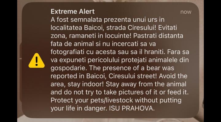 Prezenta unui urs, in Baicoi, anuntata prin RO Alert