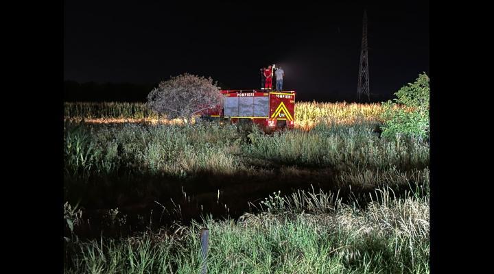 Ursul, căutat în Ploiești cu o dronă cu cameră cu termoviziune