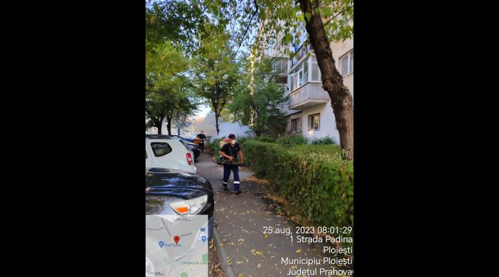 La Ploiești au fost intensificate activitățile de combatere a populației de țânțari 