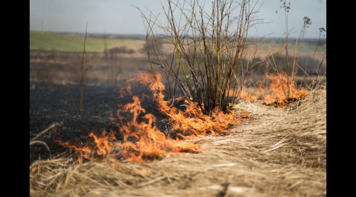 ISU Prahova trage un semnal de alarma/ Cinci incendii de vegetatie uscata produse in prima parte a zilei de duminica/ Ce trebuie facut pentru a evita astfel de evenimente