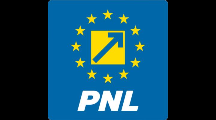 Primarul și viceprimarul comunei Colceag, suspendați din PNL