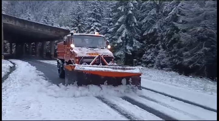 A nins pe Transfagarasan - VIDEO